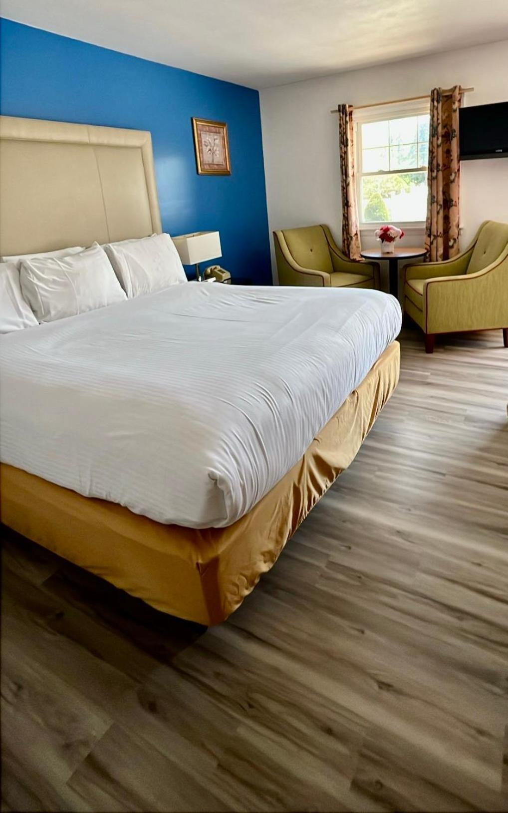 Saco River Motor Lodge & Suites Conway Extérieur photo